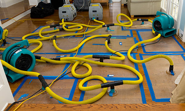 Professional Structural Drying And Dehumidification technician working in Westport, MA